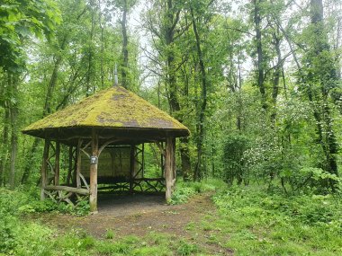 offene Holzhütte im Wald