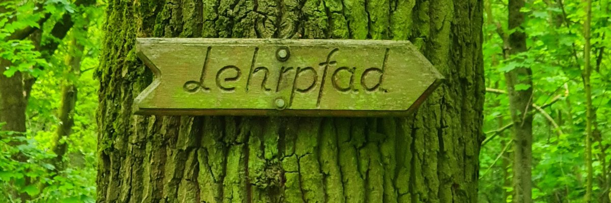 Schild Naturlehrpfad Holzschild mit Beschriftung Naturlehrpfad am Baumstamm