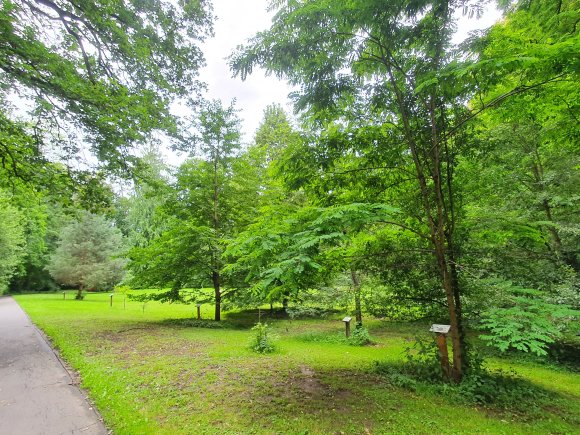 Blick auf Weg vom Bahnhof Richtung Ort, rechts Park der Bäume