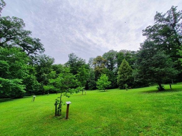 große Wiese mit verschiedenen Anpflanzungen 