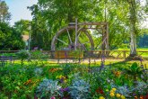 Historisches Wasserrad mit Blumenbeet im Vordergrund