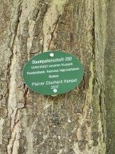 Graviertes Metallschild, oval, grün, für Baumpatenschaften