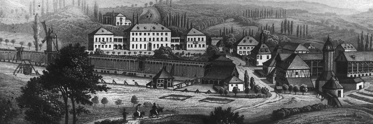 Stahlstich Ortsansicht Bad Salzhausen