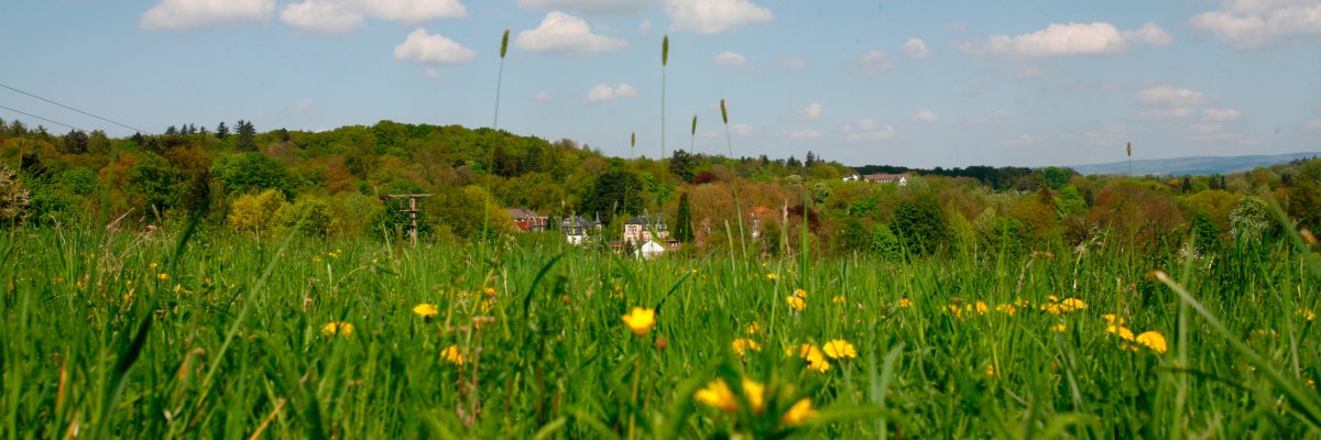 Blick über grüne Wiesen auf das in der Ferne liegende Bad Salzhausen