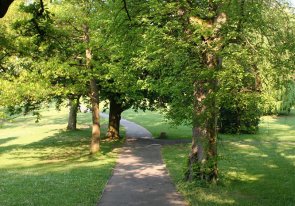 Parkwege Blick von oben auf Bäume und Weg im Kurpark