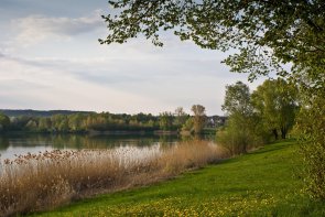 Wöfersheimer See Wöfersheimer See